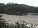 ./images/calvert/beach/20170714/beach20170714_110503.jpg