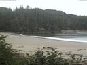 ./images/calvert/beach/20170715/beach20170715_081503.jpg