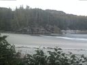 ./images/calvert/beach/20170719/beach20170719_061503.jpg