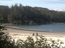 ./images/calvert/beach/20170719/beach20170719_100003.jpg