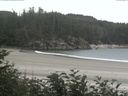 ./images/calvert/beach/20170722/beach20170722_162003.jpg