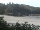 ./images/calvert/beach/20170724/beach20170724_090003.jpg