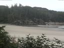 ./images/calvert/beach/20170724/beach20170724_093502.jpg