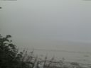 ./images/calvert/beach/20170804/beach20170804_082503.jpg