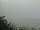 ./images/calvert/beach/20170804/beach20170804_083002.jpg