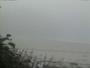 ./images/calvert/beach/20170804/beach20170804_090502.jpg