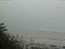 ./images/calvert/beach/20170808/beach20170808_173502.jpg