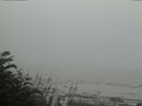 ./images/calvert/beach/20170808/beach20170808_180503.jpg