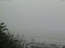 ./images/calvert/beach/20170808/beach20170808_181503.jpg