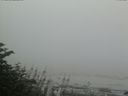 ./images/calvert/beach/20170808/beach20170808_185002.jpg