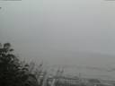 ./images/calvert/beach/20170808/beach20170808_212503.jpg