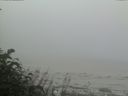 ./images/calvert/beach/20170809/beach20170809_074002.jpg