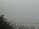 ./images/calvert/beach/20170809/beach20170809_080503.jpg