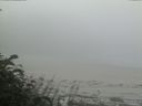 ./images/calvert/beach/20170809/beach20170809_081502.jpg