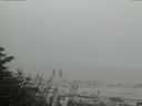 ./images/calvert/beach/20170809/beach20170809_115002.jpg