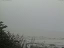 ./images/calvert/beach/20170809/beach20170809_120503.jpg