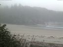 ./images/calvert/beach/20170810/beach20170810_081001.jpg