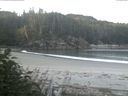 ./images/calvert/beach/20170812/beach20170812_070502.jpg