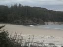 ./images/calvert/beach/20170812/beach20170812_122002.jpg