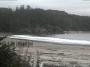 ./images/calvert/beach/20170817/beach20170817_115503.jpg