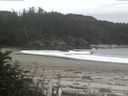 ./images/calvert/beach/20170817/beach20170817_125502.jpg