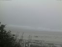 ./images/calvert/beach/20170828/beach20170828_073502.jpg