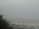 ./images/calvert/beach/20170828/beach20170828_091503.jpg