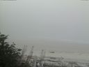 ./images/calvert/beach/20170828/beach20170828_092502.jpg
