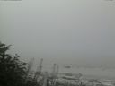 ./images/calvert/beach/20170828/beach20170828_104001.jpg
