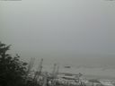 ./images/calvert/beach/20170828/beach20170828_104502.jpg