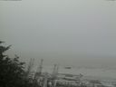 ./images/calvert/beach/20170828/beach20170828_110502.jpg