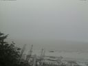 ./images/calvert/beach/20170828/beach20170828_111002.jpg
