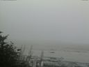 ./images/calvert/beach/20170903/beach20170903_200502.jpg