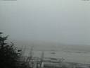 ./images/calvert/beach/20170903/beach20170903_203502.jpg