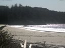./images/calvert/beach/20171001/beach20171001_141002.jpg