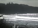 ./images/calvert/beach/20171006/beach20171006_140503.jpg