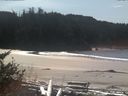 ./images/calvert/beach/20171013/beach20171013_132003.jpg
