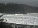 ./images/calvert/beach/20171019/beach20171019_131502.jpg