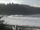 ./images/calvert/beach/20171020/beach20171020_122002.jpg