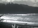 ./images/calvert/beach/20171020/beach20171020_133002.jpg