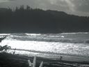 ./images/calvert/beach/20171020/beach20171020_133503.jpg