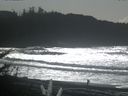 ./images/calvert/beach/20171020/beach20171020_140503.jpg