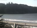 ./images/calvert/beach/20171102/beach20171102_115502.jpg