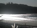 ./images/calvert/beach/20171102/beach20171102_134503.jpg