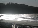 ./images/calvert/beach/20171102/beach20171102_135002.jpg