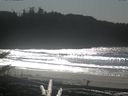 ./images/calvert/beach/20171102/beach20171102_135503.jpg