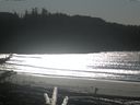 ./images/calvert/beach/20171102/beach20171102_140002.jpg
