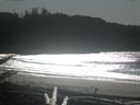 ./images/calvert/beach/20171102/beach20171102_140502.jpg