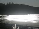 ./images/calvert/beach/20171102/beach20171102_141002.jpg