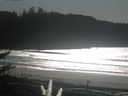 ./images/calvert/beach/20171102/beach20171102_141503.jpg